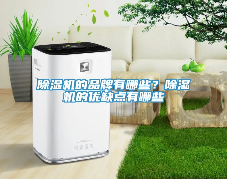 除濕機的品牌有哪些？除濕機的優缺點有哪些