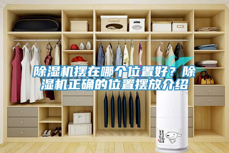 除濕機擺在哪個位置好？除濕機正確的位置擺放介紹