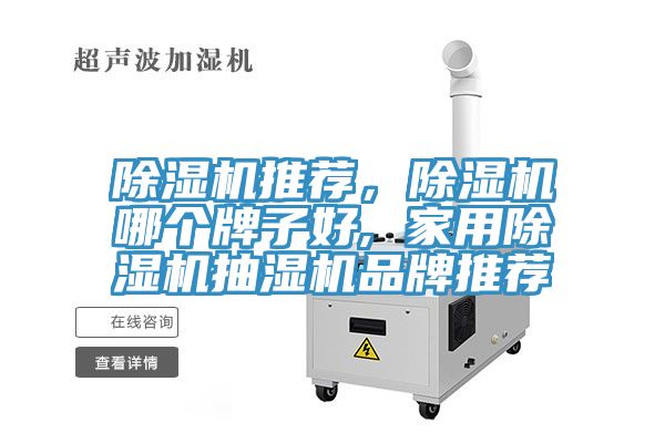 除濕機推薦，除濕機哪個牌子好, 家用除濕機抽濕機品牌推薦
