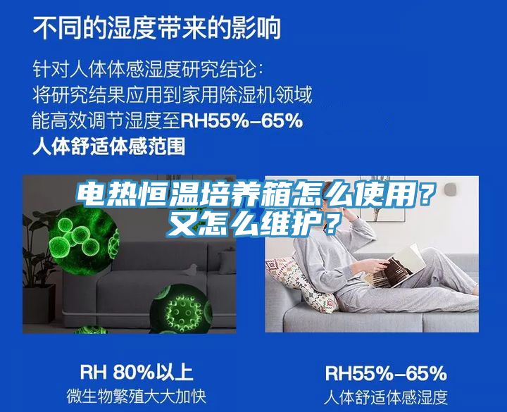 電熱恒溫培養(yǎng)箱怎么使用？又怎么維護(hù)？