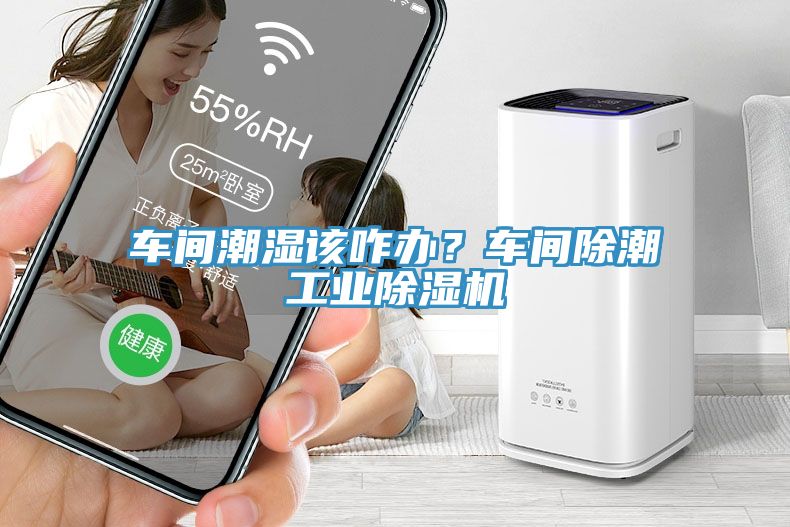 車間潮濕該咋辦？車間除潮工業除濕機