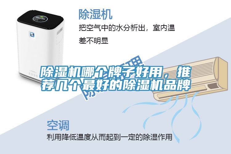 除濕機哪個牌子好用，推薦幾個最好的除濕機品牌