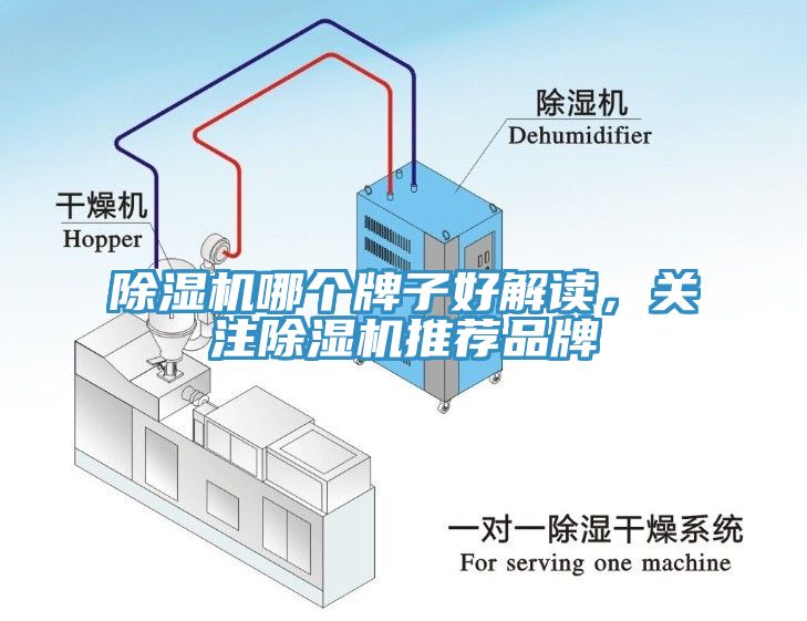 除濕機哪個牌子好解讀，關注除濕機推薦品牌