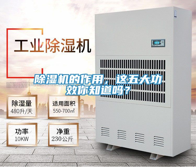 除濕機的作用，這五大功效你知道嗎？